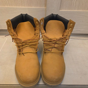 Timberland 6인치 베이직 275mm