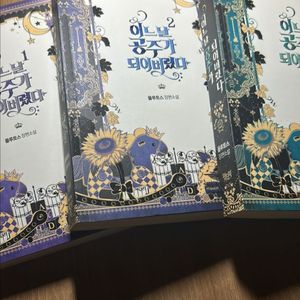 어느날 공주가 되어버렸다 소설 판매