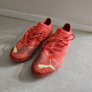 푸마축구화 퓨쳐 Z 2.4 MG 260 발매가15.9