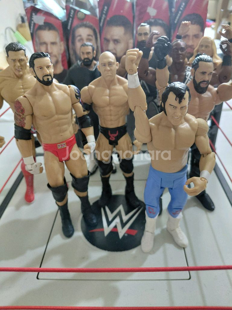 wwe 피규어 정리 ㆍ피규어 교환도 가능--1