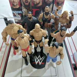 wwe 피규어 정리 ㆍ피규어 교환도 가능