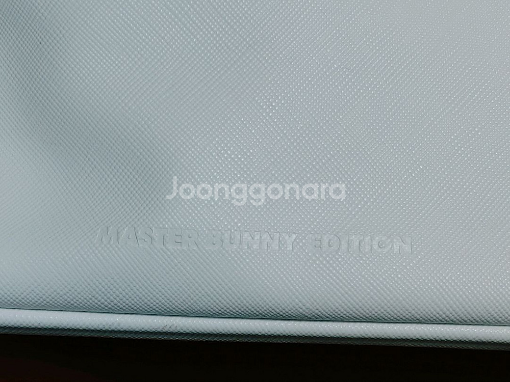 MASTER BUNNY EDITION 마스터바니에디션--4