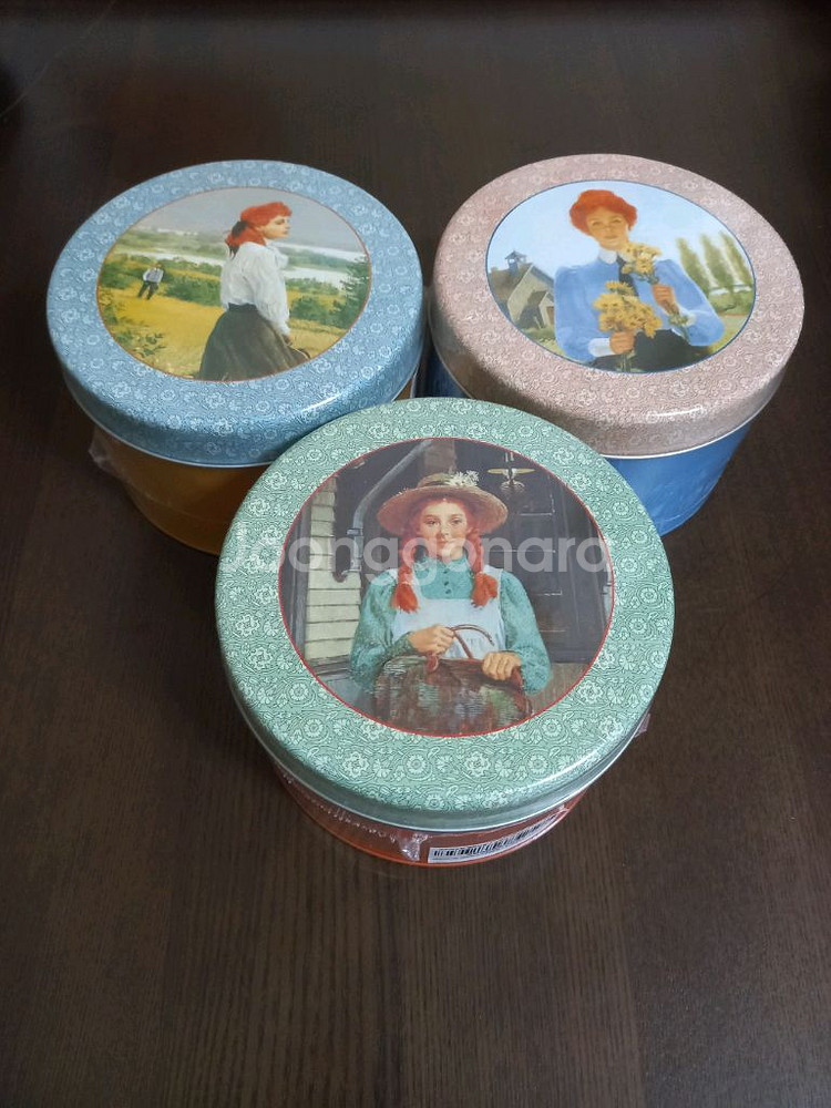 빨강 머리 앤,에이번리의 앤,레드먼드의 앤_틴 케이스3--0