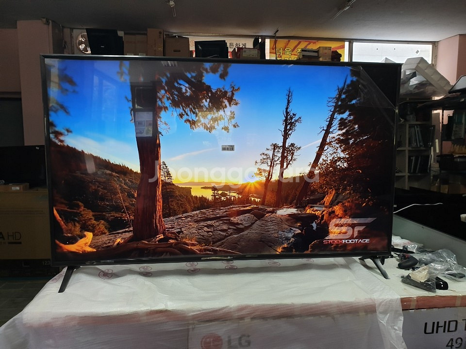 최신형 LG 65인치 울트라 TV 예약판매 !--1