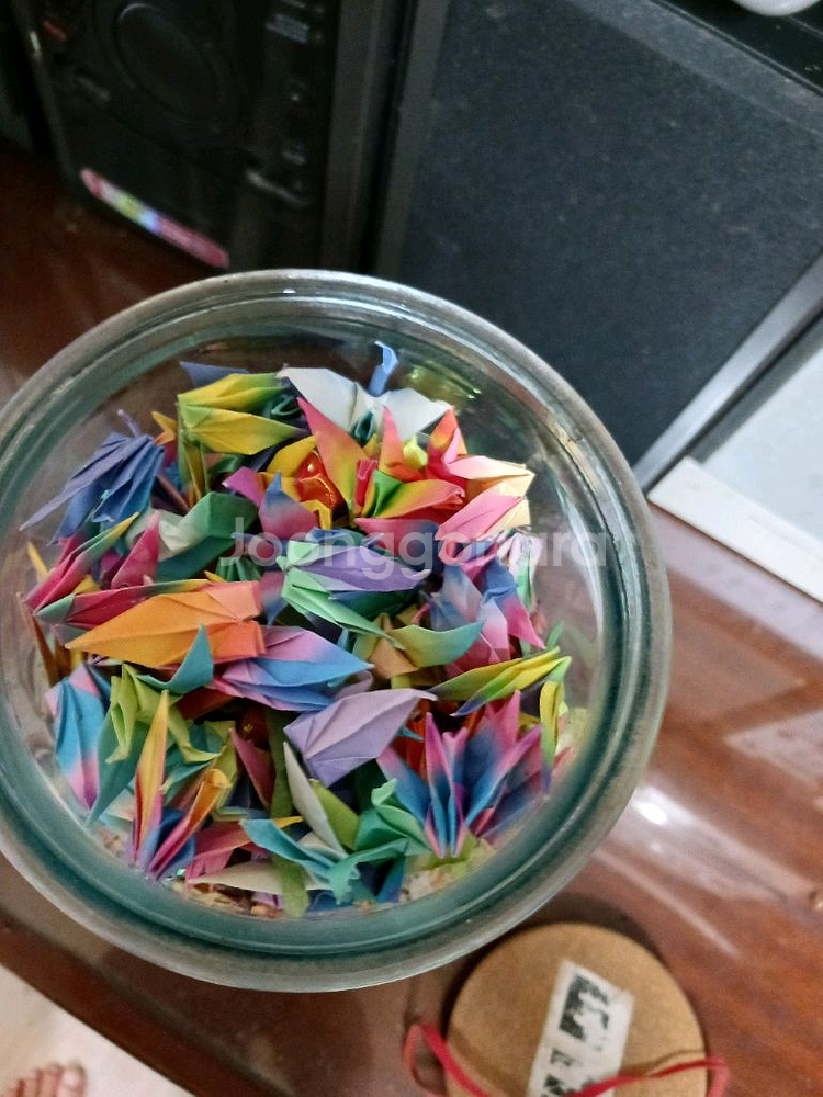 인테리어용 종이학,거북 1000마리--1