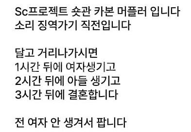 sc프로젝트 카본 머플러 팝니다--1