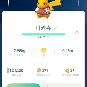 포켓몬고 월드챔피언십 피카츄 이로치