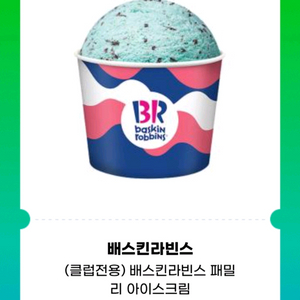 배스킨라빈스 패밀리 아이스크림