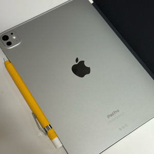 아이패드프로 11 M4 실버 256GB + 애플펜슬