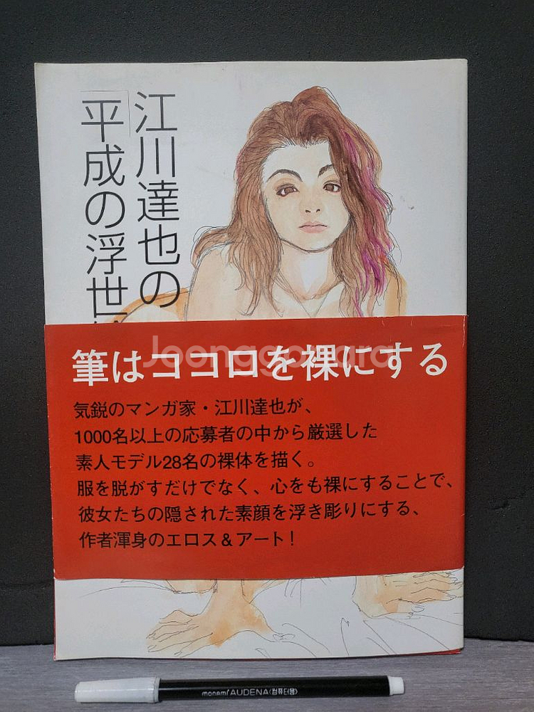 에가와 타츠야 (헤이세이의 부세화) 화보집--0