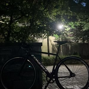 코난트 픽시 자전거(급처)