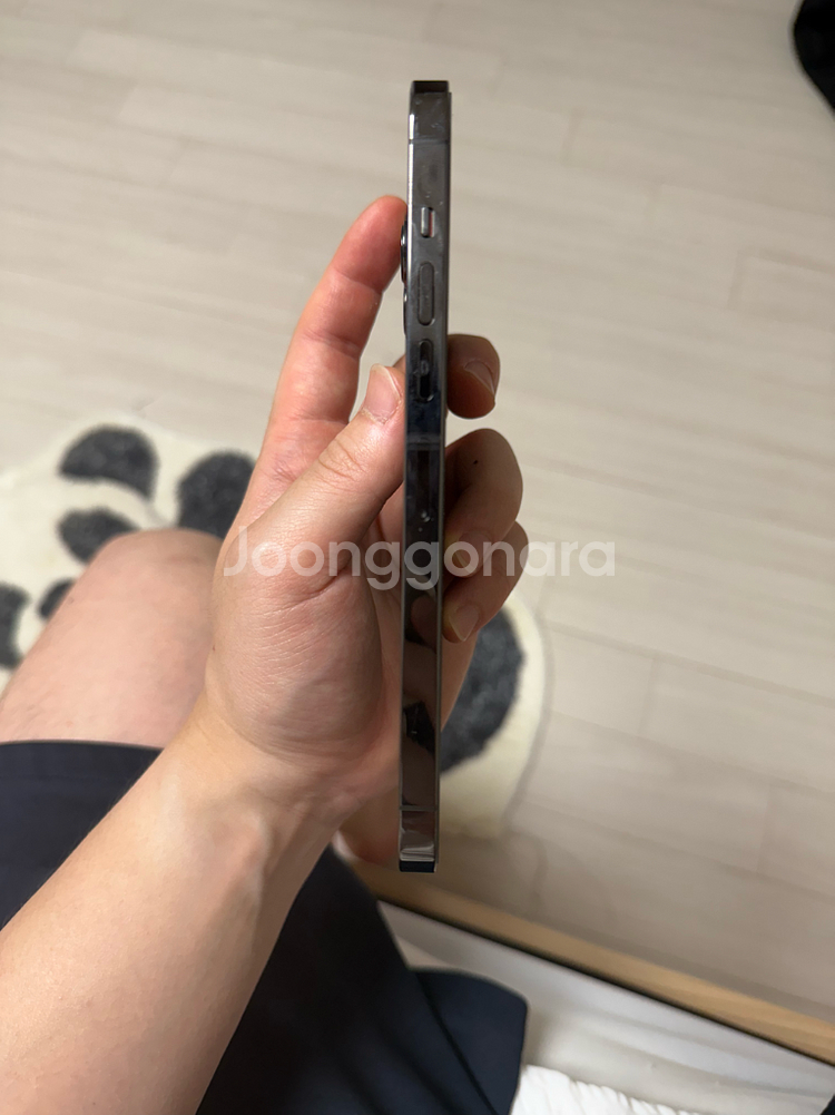아이폰13pro max--4