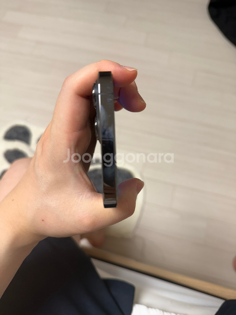 아이폰13pro max--5