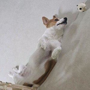 슈퍼 뒤에서 피우는 두 사람 결제창