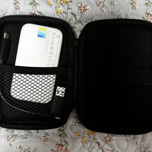WD 외장하드 2TB (SSD)