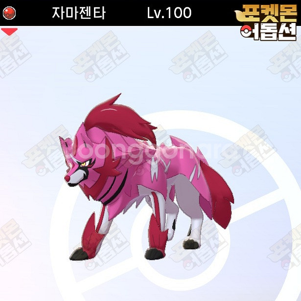 이로치 자마젠타 배포 / 포켓몬스터 / 닌텐도 스위치--0