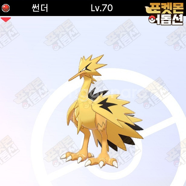 이로치 가라르 썬더 / 포켓몬스터 / 닌텐도 스위치--0
