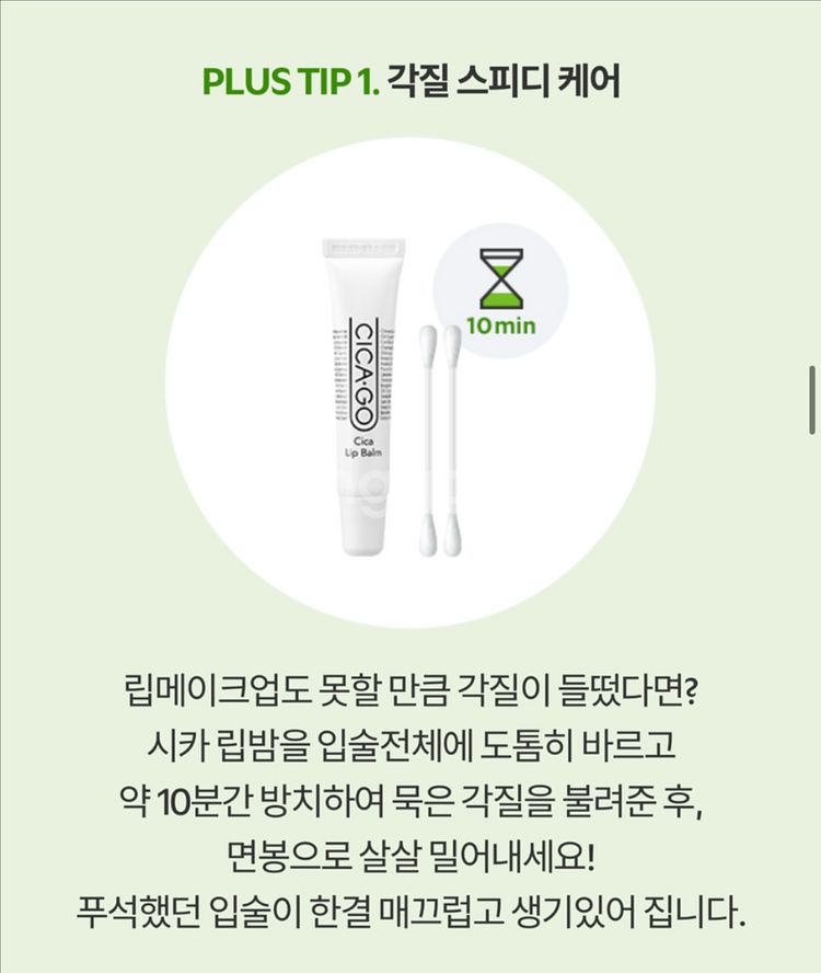 반택포) 아이소이 시카고 시카 립밤 10g--3