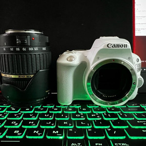캐논 200D