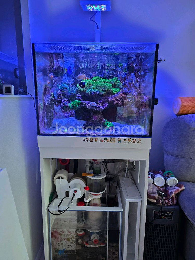 해수어항 2자하단선프 풀세트(RS600)--1