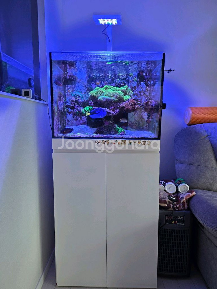 해수어항 2자하단선프 풀세트(RS600)--0