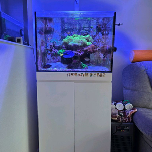 해수어항 2자하단선프 풀세트(RS600)