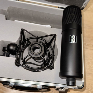 콘덴서 마이크 SLATE DIGITAL VMS ML-1