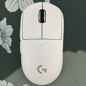 지슈라2