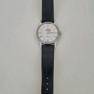 오메가 빈티지 컨스틸레이션 파이판 ref. 14900