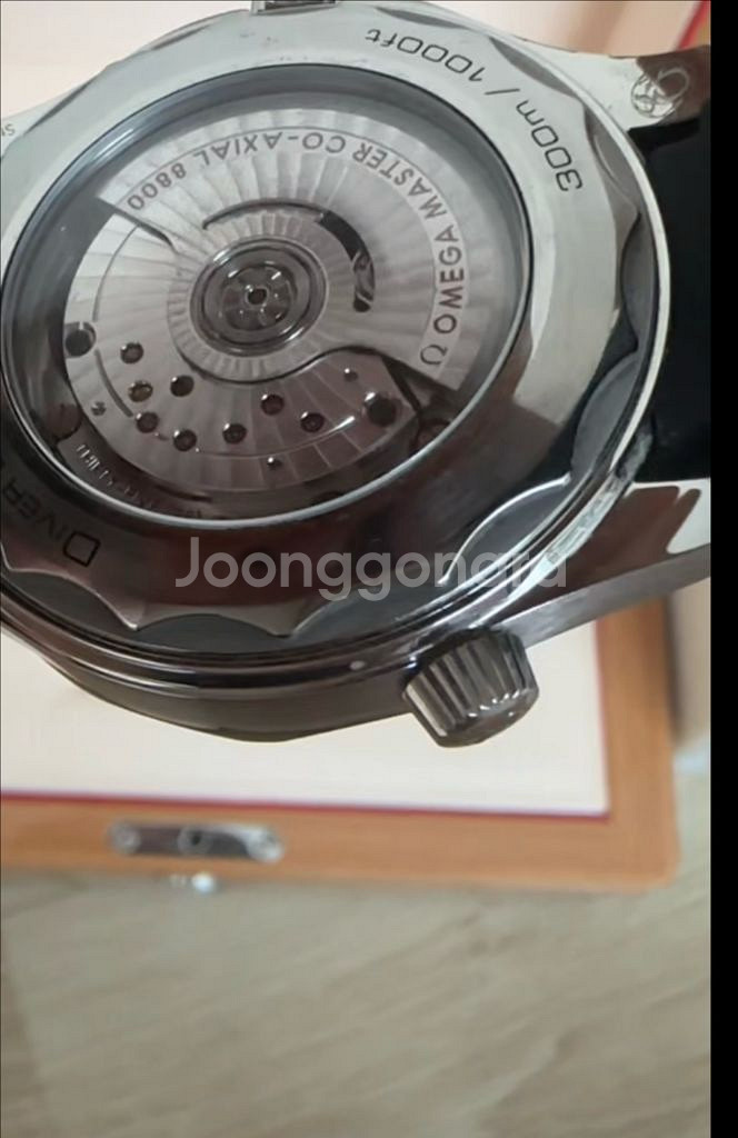 오메가 씨마300 검찬42mm 19년6월 스태핑--5