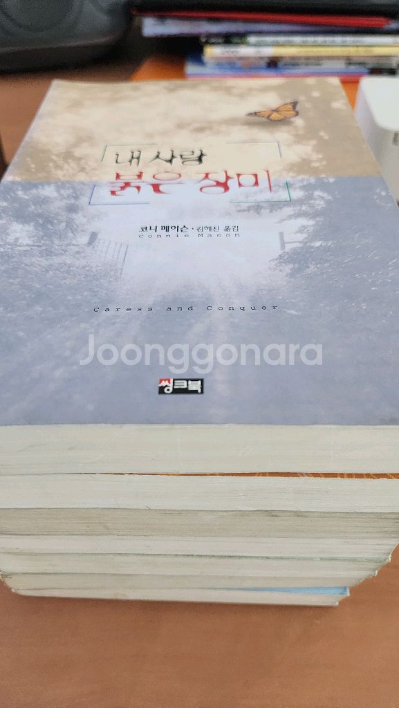 코니 메이슨 내사랑 붉은 장미. 하얀흔적 등 7권--3