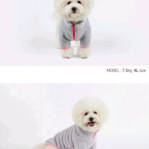 강아지옷 1-2