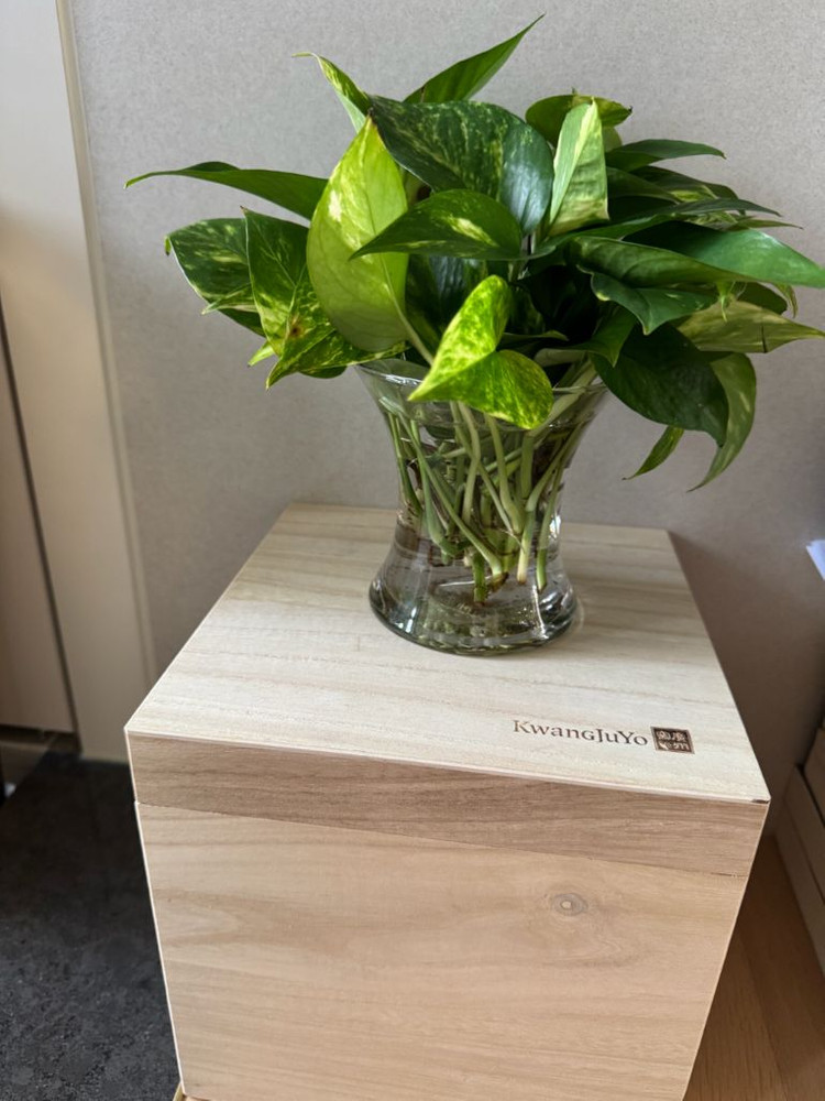 ㅎ나무박스 수납함 23cm x 화분다이 화병선반 이미지