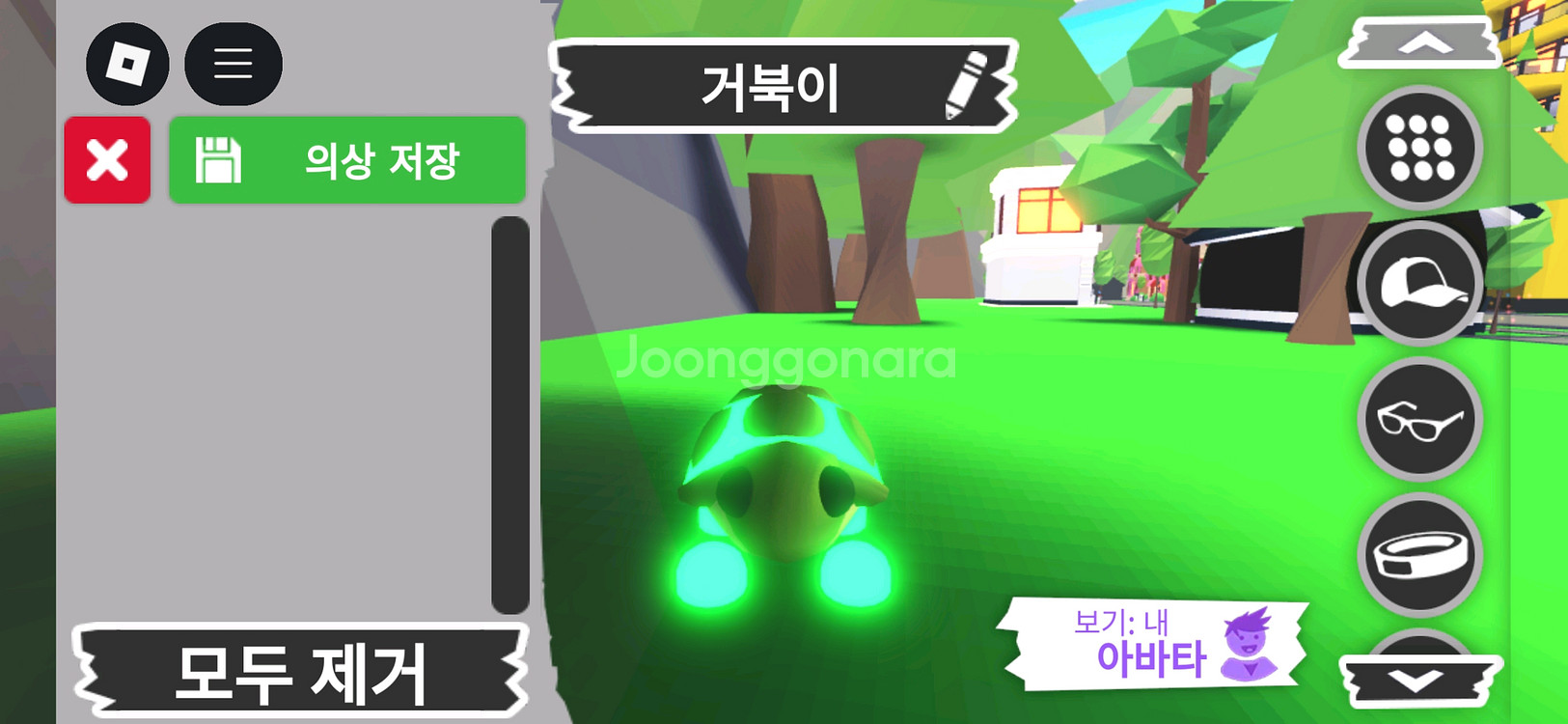 입양하세요 펫 메가 네온 거북이(메거북)판매해요--0