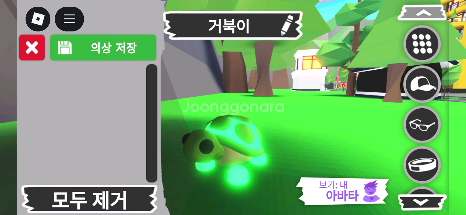 입양하세요 펫 메가 네온 거북이(메거북)판매해요--2