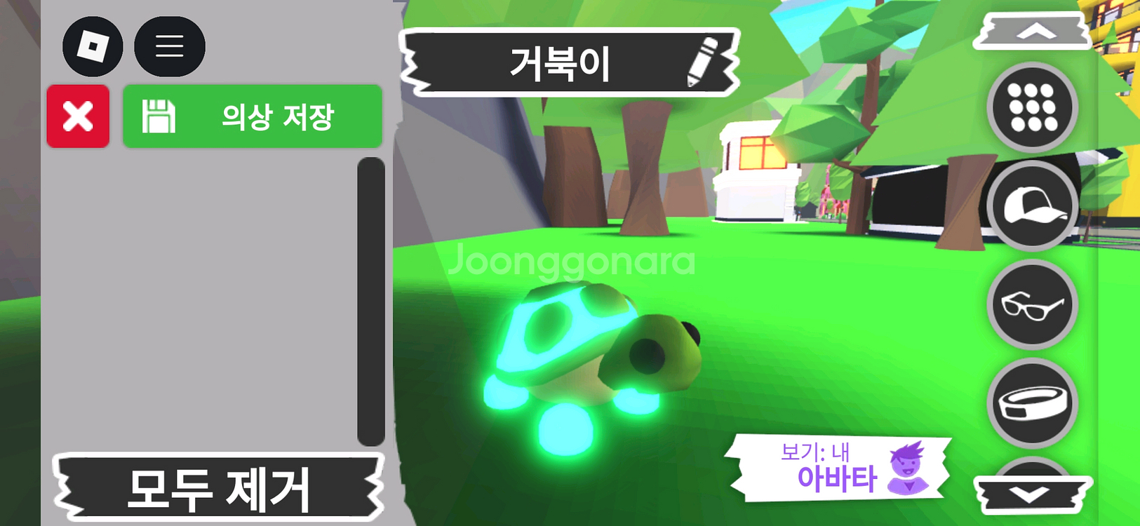 입양하세요 펫 메가 네온 거북이(메거북)판매해요--1