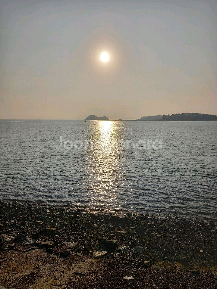 태안 해늘펜션 8월 16일 숙박판매(바베큐포함)--1