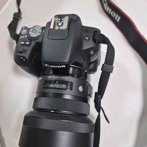 캐논 200d + 시그마 삼식이 렌즈