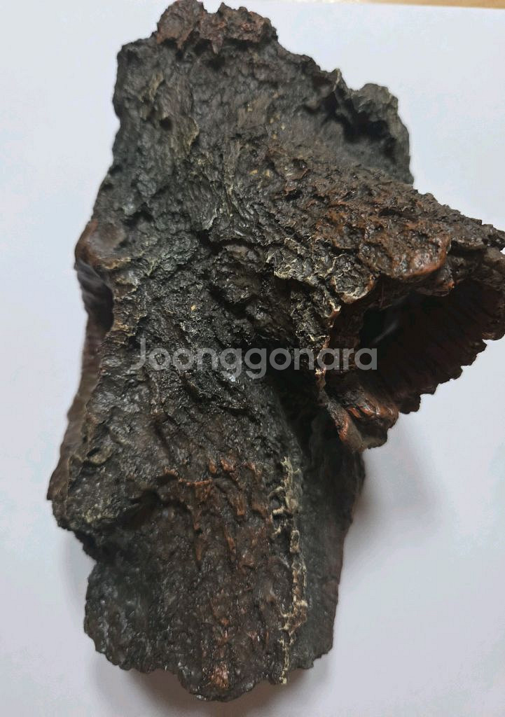 나무터널 은신처 (햄스터,파충류 등)--1