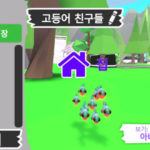입양하세요 펫 메가 네온 고등어 친구들 판매해요