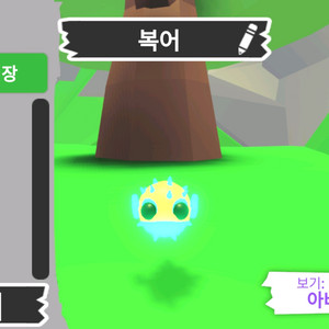 입양하세요 펫 메가네온 복어 판매합니다