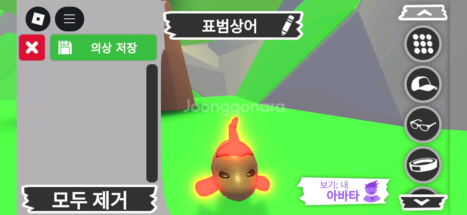 입양하세요 펫 메가네온 표범상어 판매합니다--0