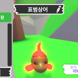 입양하세요 펫 메가네온 표범상어 판매합니다