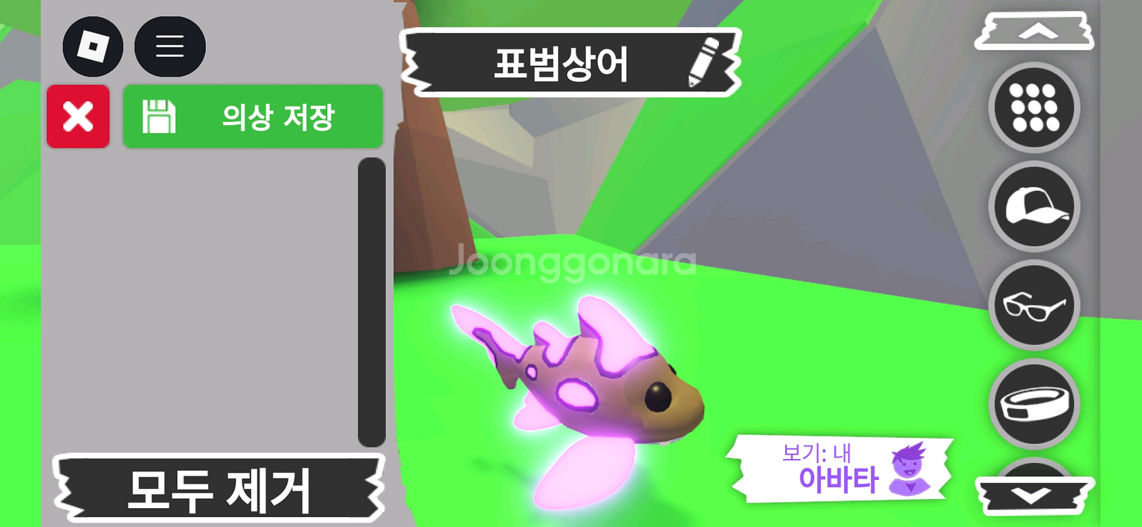 입양하세요 펫 메가네온 표범상어 판매합니다--2