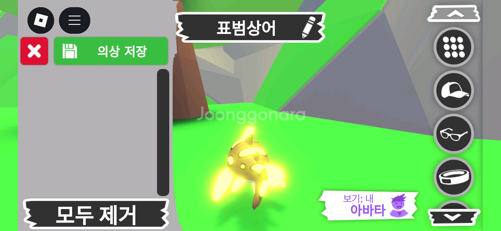 입양하세요 펫 메가네온 표범상어 판매합니다--3