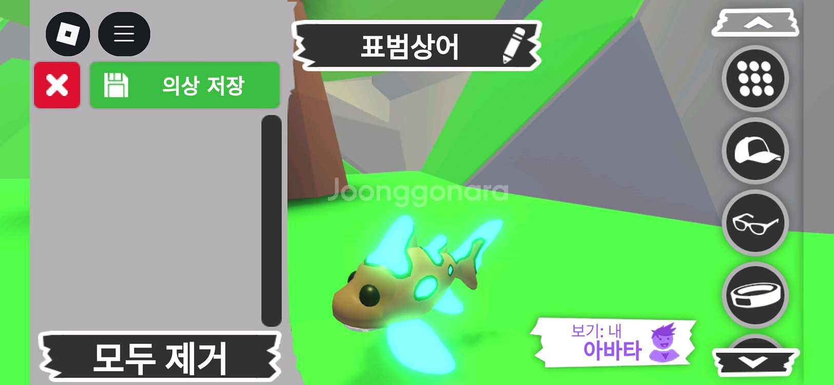 입양하세요 펫 메가네온 표범상어 판매합니다--1