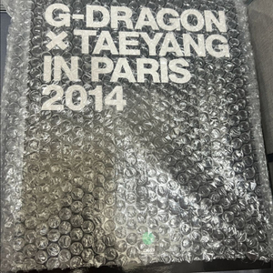 G-dragon X Taeyang in Paris