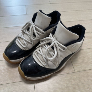 조던11 콩코드 로우