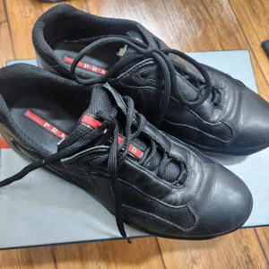 프라다 아메리카컵 8.5