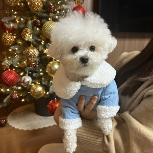 강아지 겨울새 옷 아주아주싸게